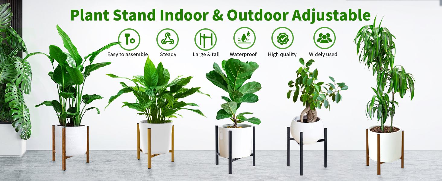 plant stand indoor