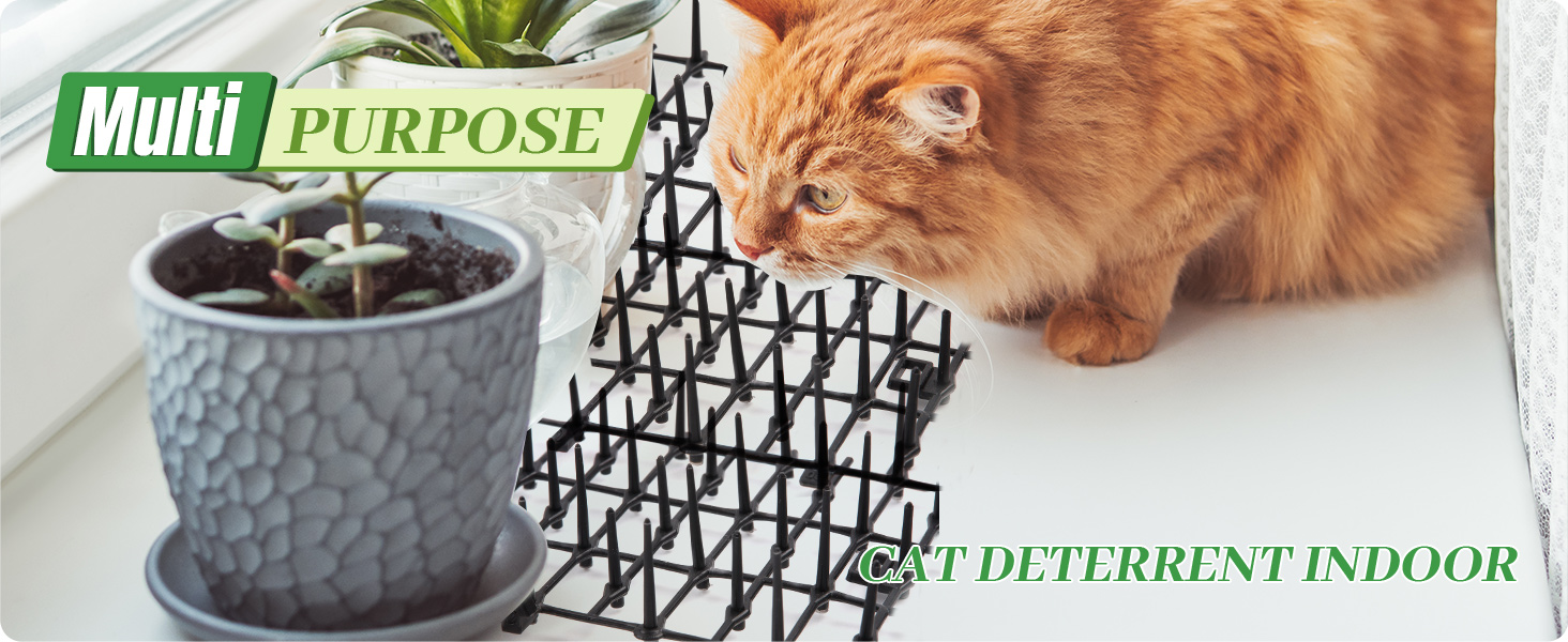 6.5ft Cat Scat Mat