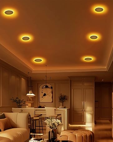 led recessed light with night light