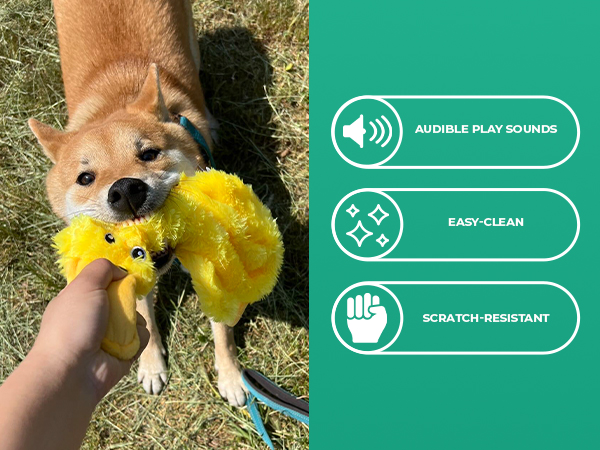 Fun Shaped pet toy
