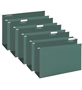 HERKKA Extra Capacity Hanging File Folders, 30 Pack Reinforced Legal Size Hanging Folders with He...