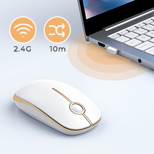 mouse