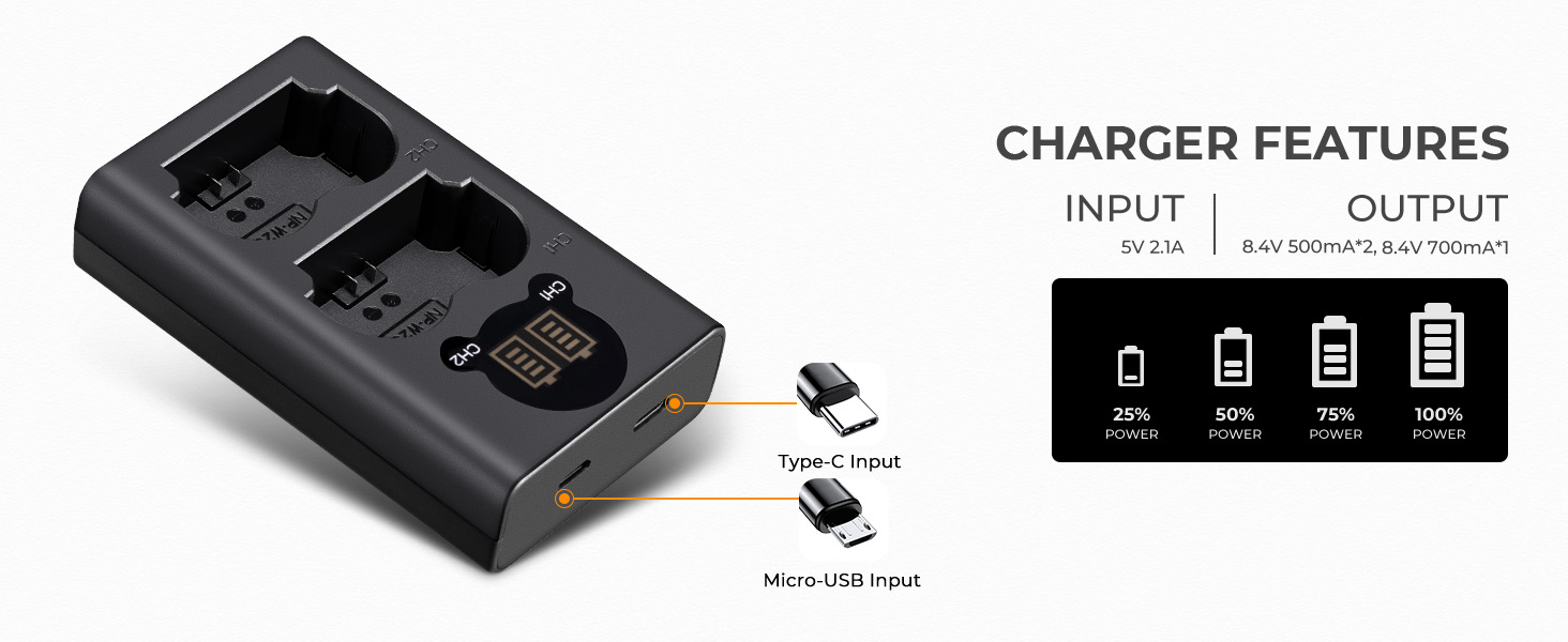 Dual charging portr