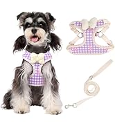Coppthinktu Dog Harness for Small Sized Dogs, Puppy Cat Harness with Leash Set No Pull Dog Harnes...