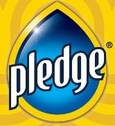 pledge
