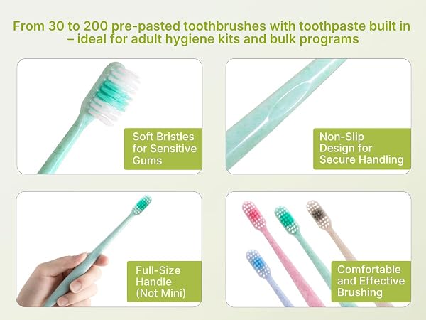 Soft bristles, non-slip full-size handle; colors Blue Topaz, Rose Quartz, Jade, Pearl