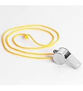DPWOUM Metal Whistle with Lanyard, Outdoor Tools Rescue, Referee and Officials Whistle, Training ...