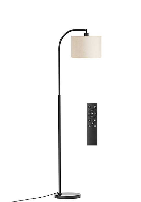 floor lamp with remote