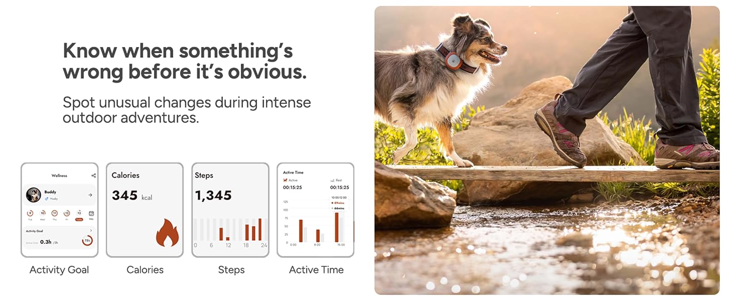 GPS dog tracker