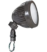BELL Hubbell LL1200Z Security & Flood Light, Bronze