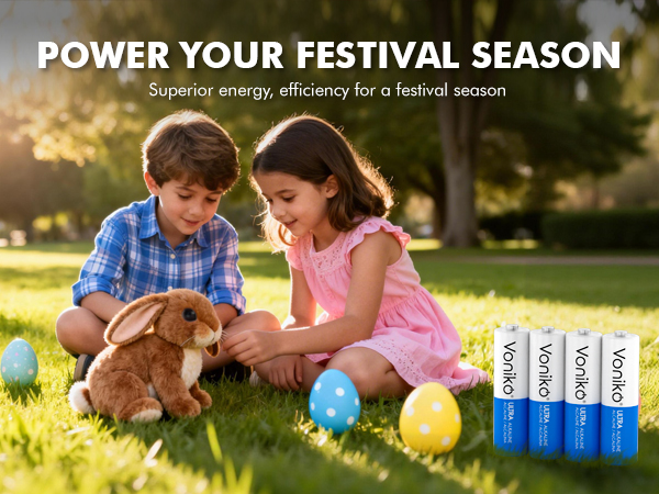 aa alkaline battery