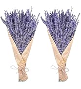 Dried Lavender Bundles, Uieke Natural Dried Lavender Flowers 280-300 Stems 16“ for Home Weeding D...