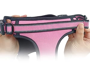 dog harness