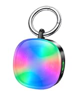 dog collar light