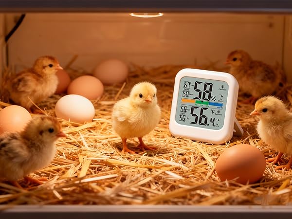 temp humidity monitor for incubator