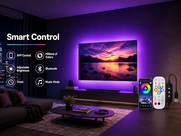 Smart TV LED Backlight Control System