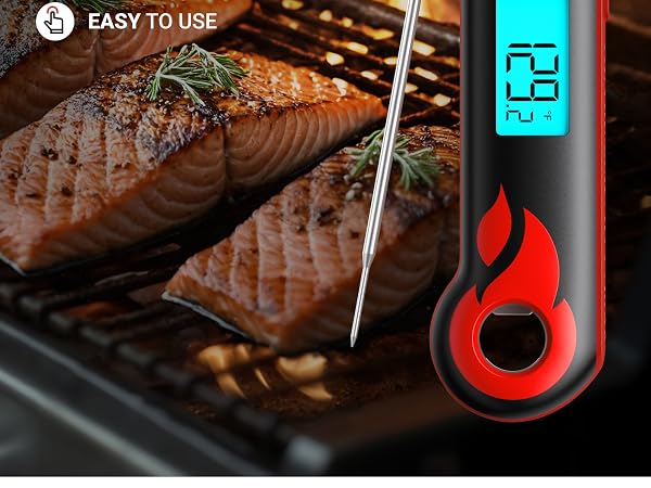 meat thermometer
