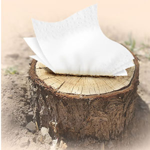 Facial Tissue