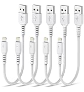 1ft iPhone Charger Cord, 5Pack Apple Short USB A to Lightning Cable 12 inch, MFi Certified Apple ...