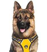 harness