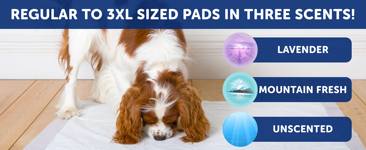 Pad Scents