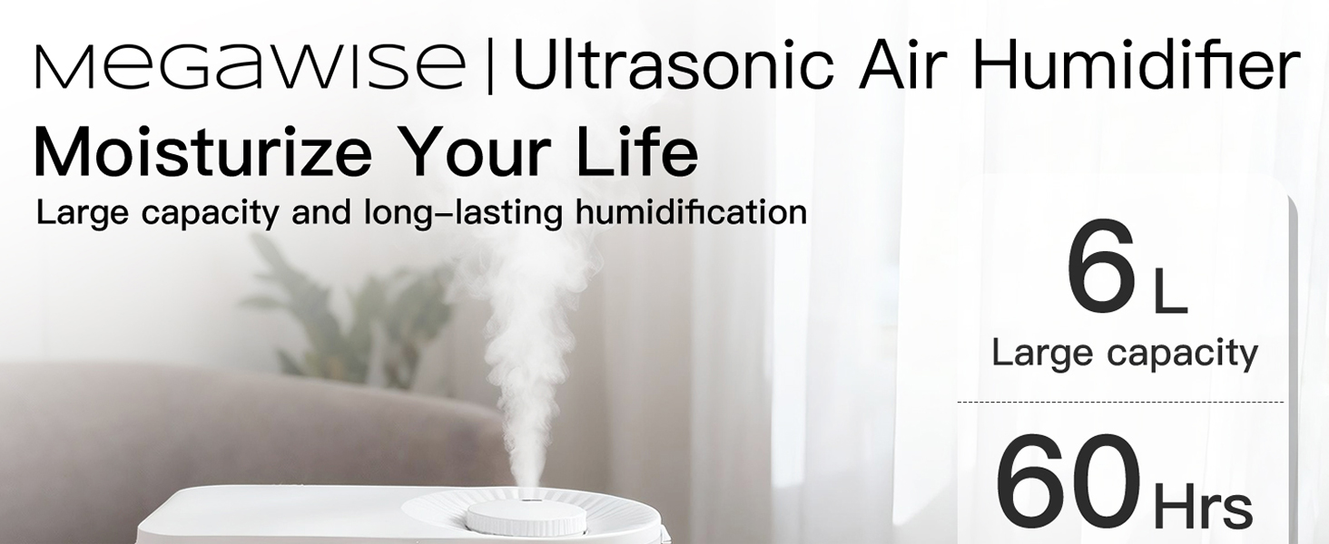 Humidifier