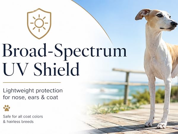 Dog Sunscreen