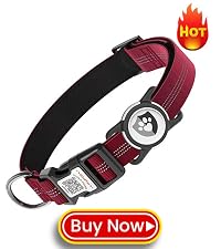 https://m.media-amazon.com/images/S/aplus-media-library-service-media/7dab397f-f2c9-49de-b41c-b2aa05359fa2.__CR0,0,400,450_PT0_SX200_V1___.jpg