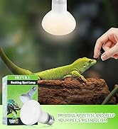 Reptile Heat Lamp Bulb (2nd Gen)