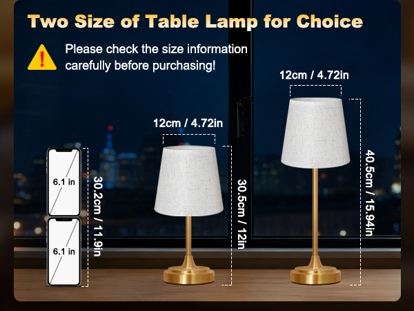 battery operated table lamp