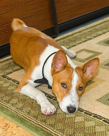 RUG GRIPPER