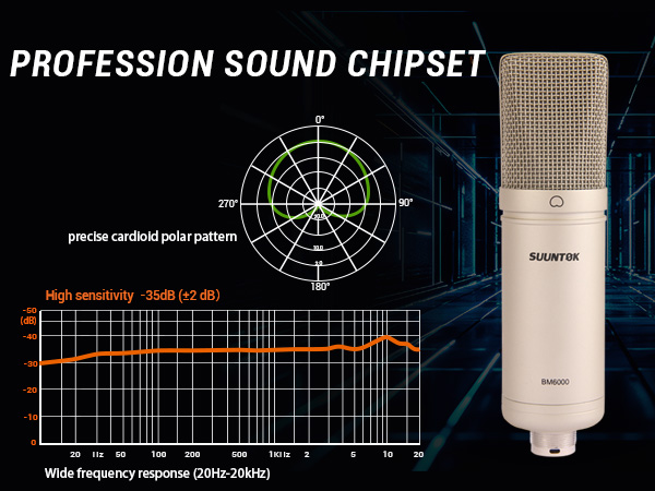 professional mic