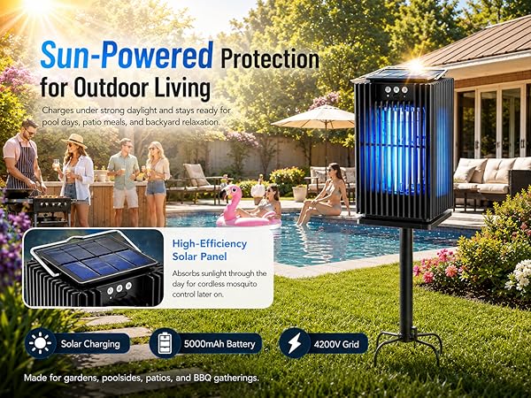 bug zapper_T300_1