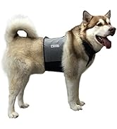 CoolerDog Dog Cooling Vest and Cooling Collar - Ice Vest for Dogs Large (27" to 34" Girth)