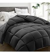 HYLEORY All Season Queen Size Bed Comforter - Cooling Down Alternative Quilted Duvet Insert with ...