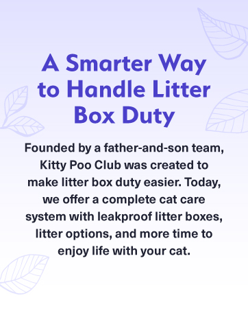 cat litter disposable box leak-proof silica crystal clumping odor control low dust natural plant