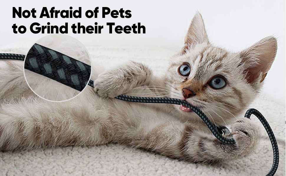 USB C Extension Cable 6 Inch