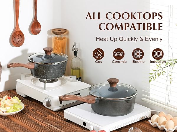 nonstick saucepan with lid