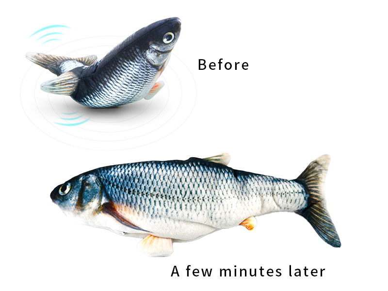 fish toy