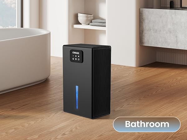 dehumidifier for bathroom