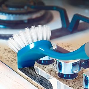 Dish brush