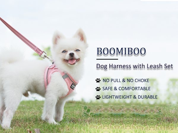 No Pull Adjustable Reflective Step-in Puppy Harness with Padded Vest for Small Medium Large Dog