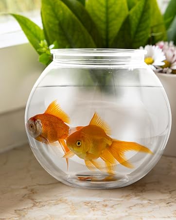 https://m.media-amazon.com/images/S/aplus-media-library-service-media/ca14b03e-2b84-42a0-96e2-e9a93f3aa1ae.__CR161,0,1279,1600_PT0_SX362_V1___.jpg