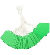 joycraft 200Pcs Tags with String Attached