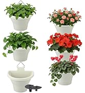 MADHOLLY 6Pcs Vertical Hanging Planters for Outdoor Plants - Wall Plant Holder for Indoor Decorat...