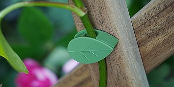 plant holder