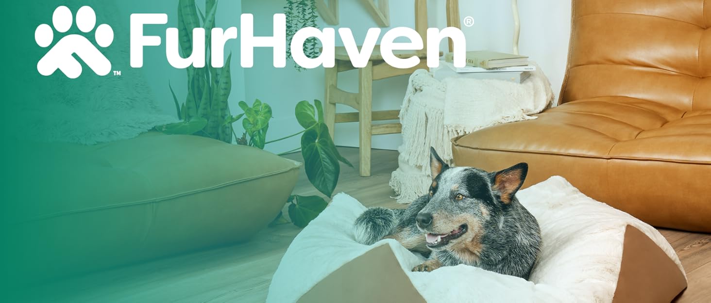 furhaven brand story update 2025