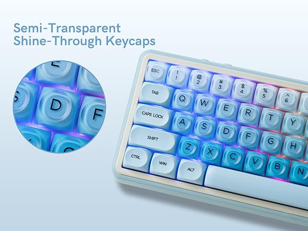 a keyboard with semi-transparent shine-through keycaps, featuring a blue color scheme