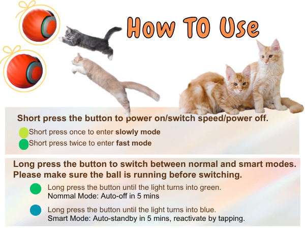 speedy tail