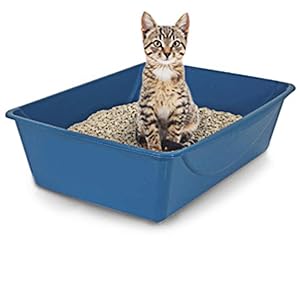 Petmate Open Cat Litter Box,Mouse Grey, Small (14"x10.5"x3.5")